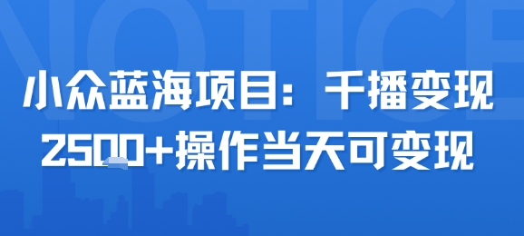 小众蓝海项目，千播变现2.5k+操作当天可变现-云商网创