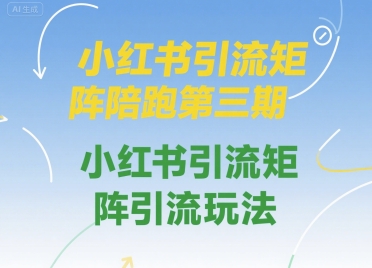 小红书引流矩阵陪跑第三期，小红书引流矩阵引流玩法-云商网创