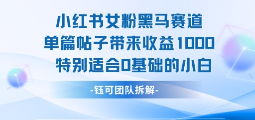 小红书女粉黑马赛道单篇帖子带来收益1k+，特别适合0基础的小白-云商网创