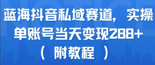 蓝海抖音私域赛道，实操单账号当天变现288+(附教程)-云商网创