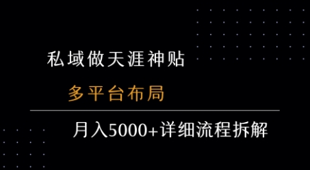 私域做天涯神贴 多平台布局 月入5k+详细流程拆解-云商网创