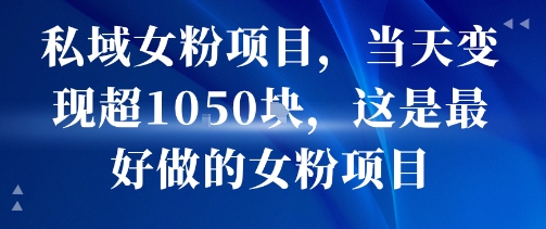 私域女粉项目，当天变现超1k，这是最好做的女粉项目，可放大操作-云商网创