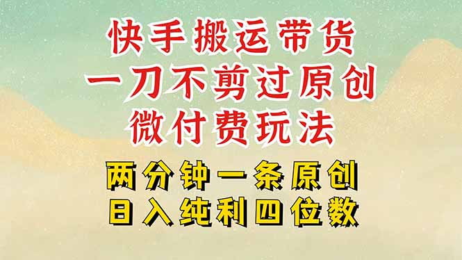 （15577期）快手黑科技搬运带货，一刀不剪过原创，微付费投流玩法，轻松日入四位数…-云商网创