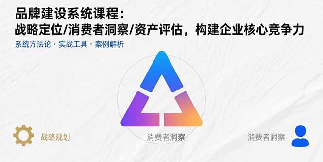 （15772期）品牌建设系统课程：战略定位/消费者洞察/资产评估，构建企业核心竞争力-云商网创