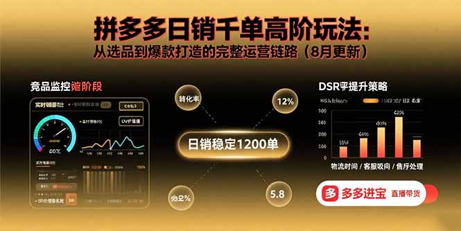 （15850期）拼多多日销千单高阶玩法：从选品到爆款打造的完整运营链路（8月更新）-云商网创