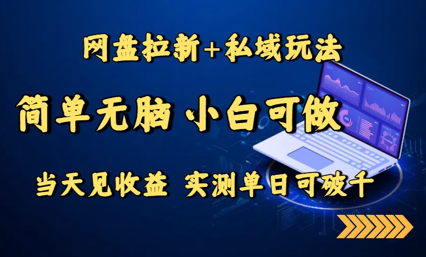 （15744期）网盘拉新+私域玩法，简单无脑，小白可做，当天见收益，实测单日可破千-云商网创