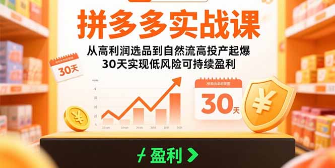 （15586期）拼多多实战课：从高利润选品到自然流高投产起爆 30天实现低风险可持续盈利-云商网创