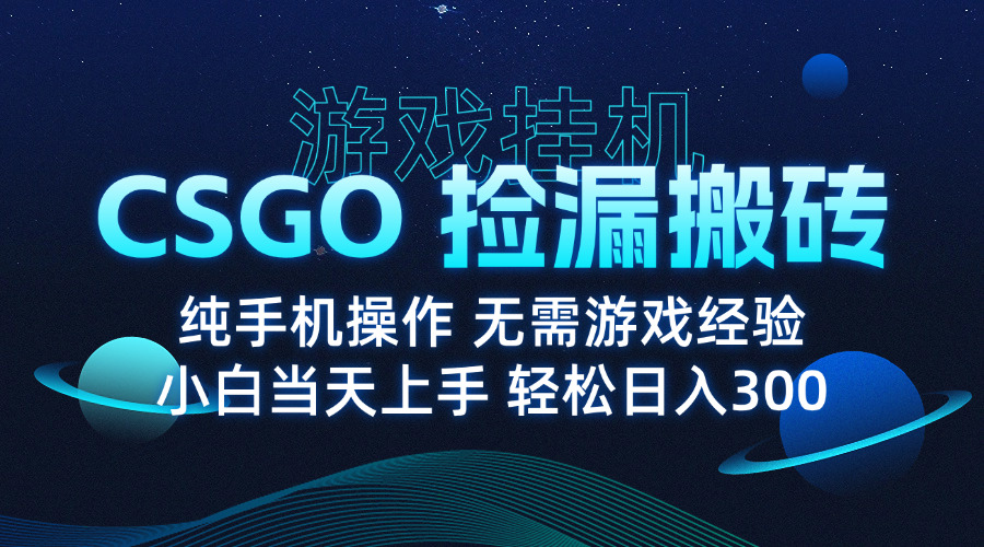 （15820期）8月最新游戏搬砖，CSGO纯挂机，不需要玩游戏，实现真挂机，月入1W+-云商网创