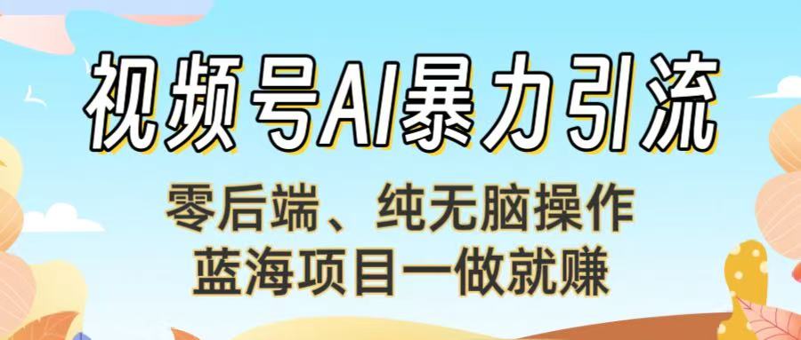 视频号AI暴力引流：零后端、纯无脑操作，蓝海项目一做就赚！【下面那个链接失效了】-云商网创
