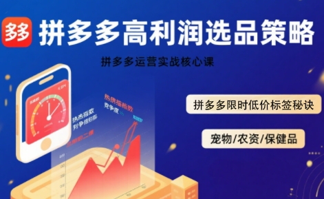 拼多多选品暴利技术实战课，拼多多高利润选品策略，拼多多限时低价标签秘诀-云商网创