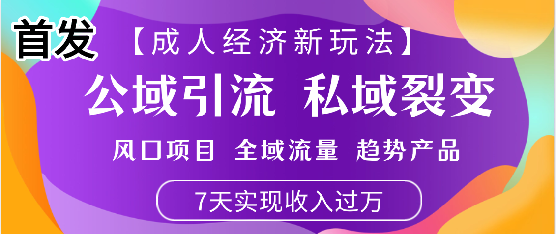 首发：【成人经济新玩法】市面独家玩法，风口项目、全域流量、趋势产品，7天实现月入过万-云商网创