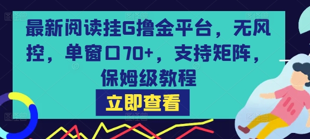 最新阅读挂G撸金平台，无风控，单窗口70+，支持矩阵，保姆级教程【揭秘】-云商网创