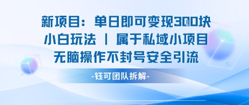 新项目单日即可变现3张的小白玩法无脑操作不封号安全引流-云商网创