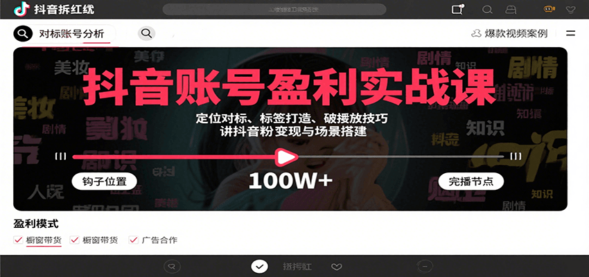 抖音账号盈利实战课，定位对标、标签打造、破播放技巧，讲涨粉变现与场景搭建-云商网创