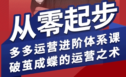 拼多多运营进阶系统课，从零起步，多多运营进阶体系课，破茧成蝶的运营之术-云商网创