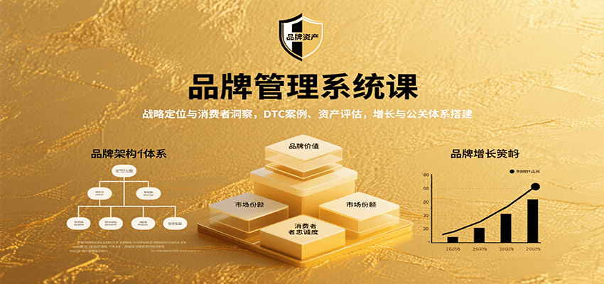 品牌管理系统课：战略定位与消费者洞察，DTC案例、资产评估，增长与公关体系搭建-云商网创