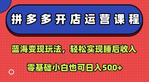 拼多多开店运营课程：蓝海变现玩法，轻松实现睡后收入，零基础小白也可日入5张-云商网创