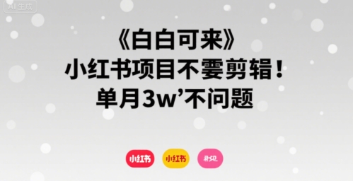 小白可来 小红书项目不需要剪辑 单月3w不是问题-云商网创
