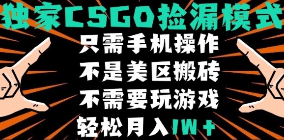 CSGO自动捡漏项目，最新独家玩法，不是美区搬砖，不需要了解和玩游戏，新手小白轻松月入1W+【揭秘】-云商网创