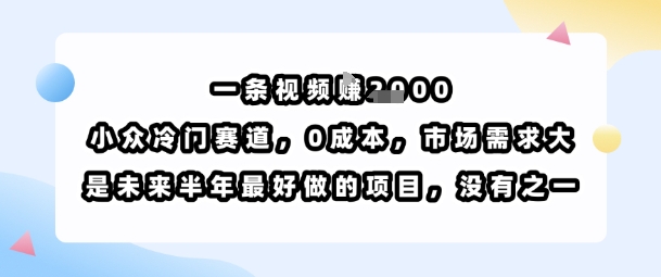 一条视频挣1k，小众冷门赛道，0成本，市场需求大，是未来半年最好做的项目，没有之一-云商网创