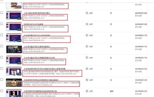 图片[2]-2025油管引流术，分享我是如何通过油管做引流的-云商网创
