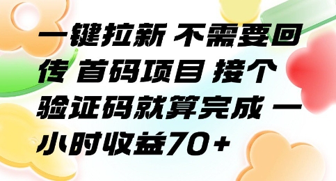 一键拉新 不需要回传 首码项目 接个验证码就算完成 一小时收益70+【揭秘】-云商网创