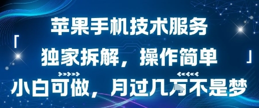 苹果手机技术服务，独家拆解，操作简单，小白可做，月过1W不是梦-云商网创