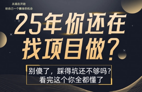 25年，你还在疯狂的找项目吗？别傻了，看完这个你都懂了【揭秘】-云商网创