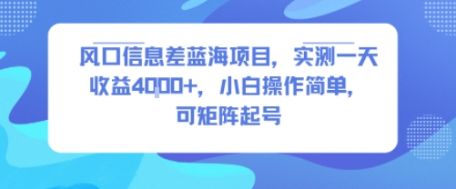风口信息差蓝海项目，实测一天收益4k+，小白操作简单，可矩阵起号-云商网创